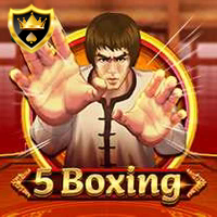 5 BOXING