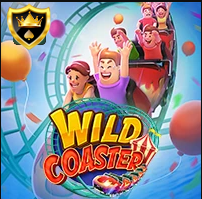 WILD COASTER